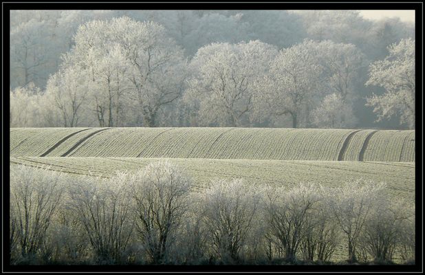 Rauhreif in Ostholstein