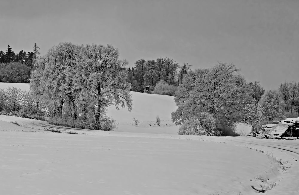 Rauhreif in Schwarz/Weiß