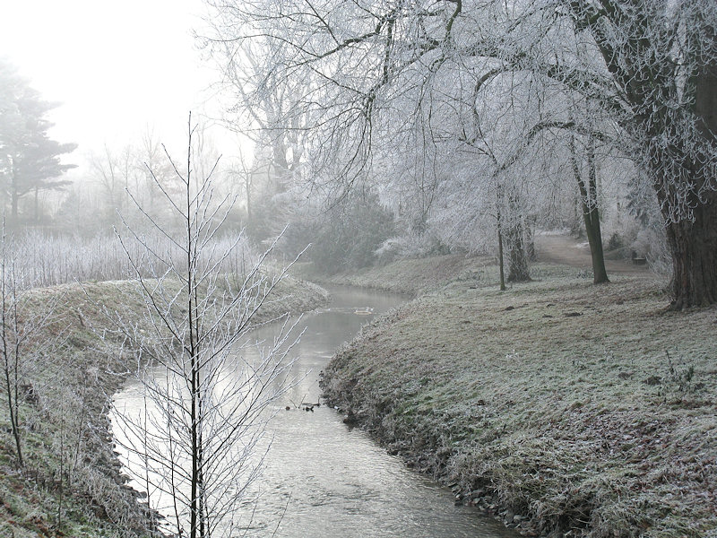 Rauhreif-Landschaft