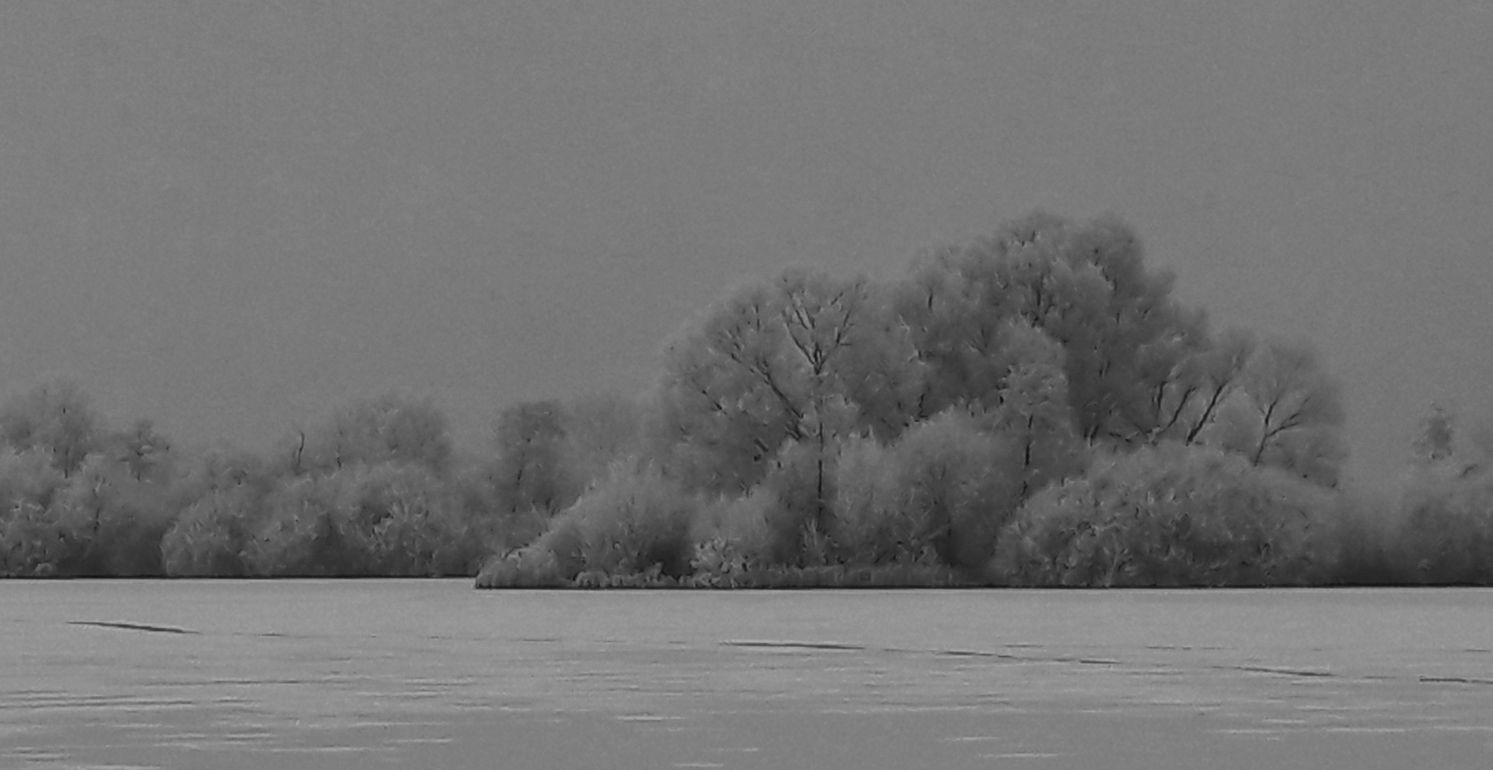 Rauhreif-Landschaft mit Nebel