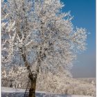 Rauhreif mit Hochstand