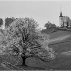 Rauhreif mit Kirche