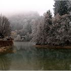 Rauhreif mit von der Sonne gefressenem Nebel