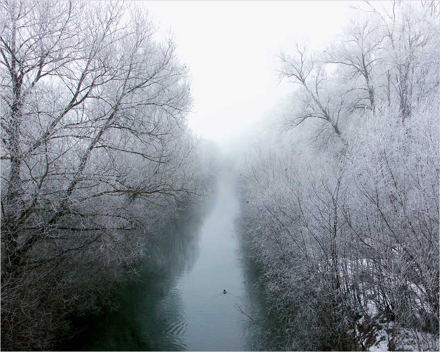 Rauhreif und Nebel