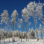 Winter im Odenwald