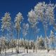 Winter im Odenwald