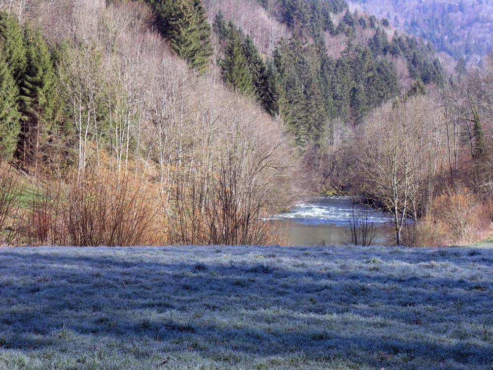 Rauhreif und Sonne am Doubs im Schweizer Jura