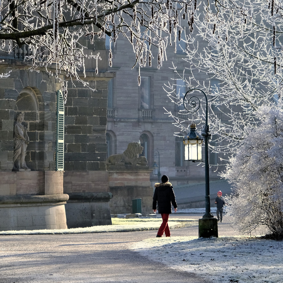 Rauhreif vor dem Schloß 