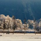 Rauhreif vor dunklen Bergen