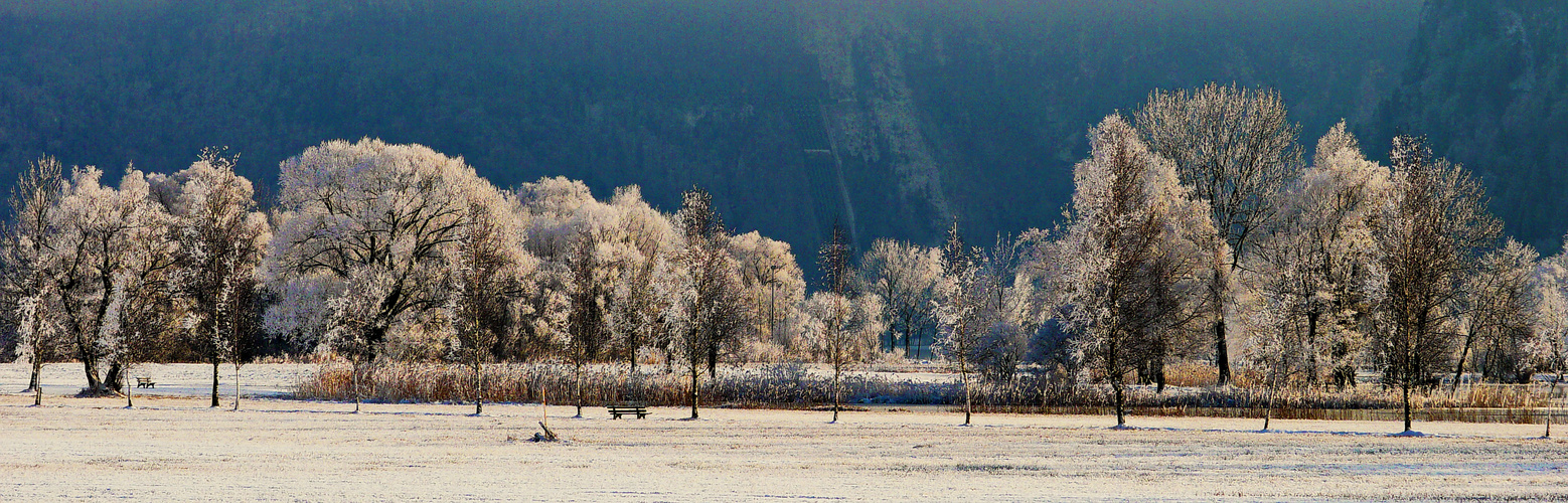 Rauhreif vor dunklen Bergen