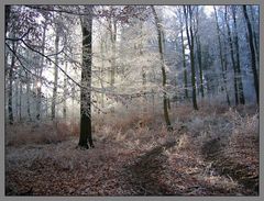 Rauhreif-Walk, Hintertaunus, Neu-Anspach