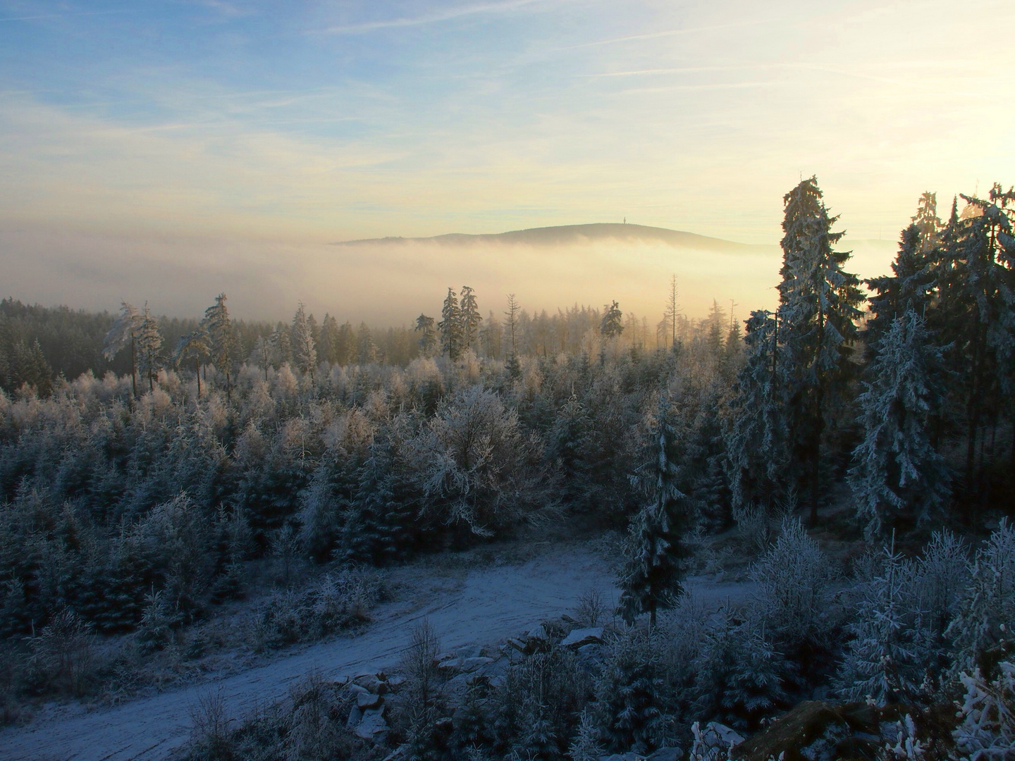 Rauhreif, Zuckerschnee und Nebel