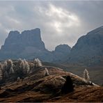 Rauhreiflärchen vor dem Monte Averau