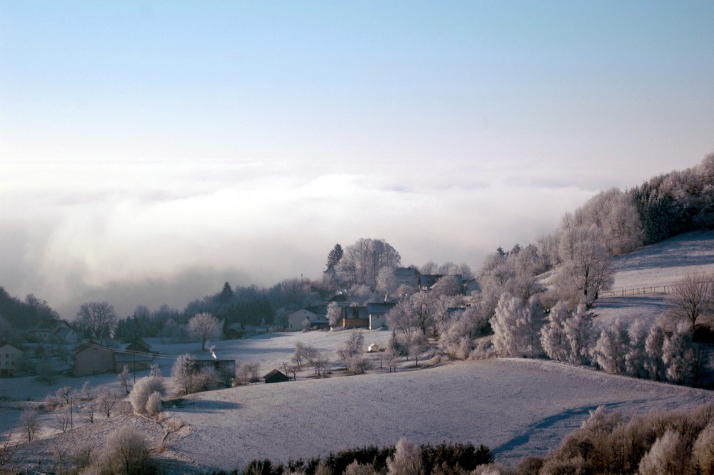 Rauhreif_Winterlandschaft bei Bärnstein