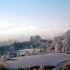 Rauhreif_Winterlandschaft bei Bärnstein