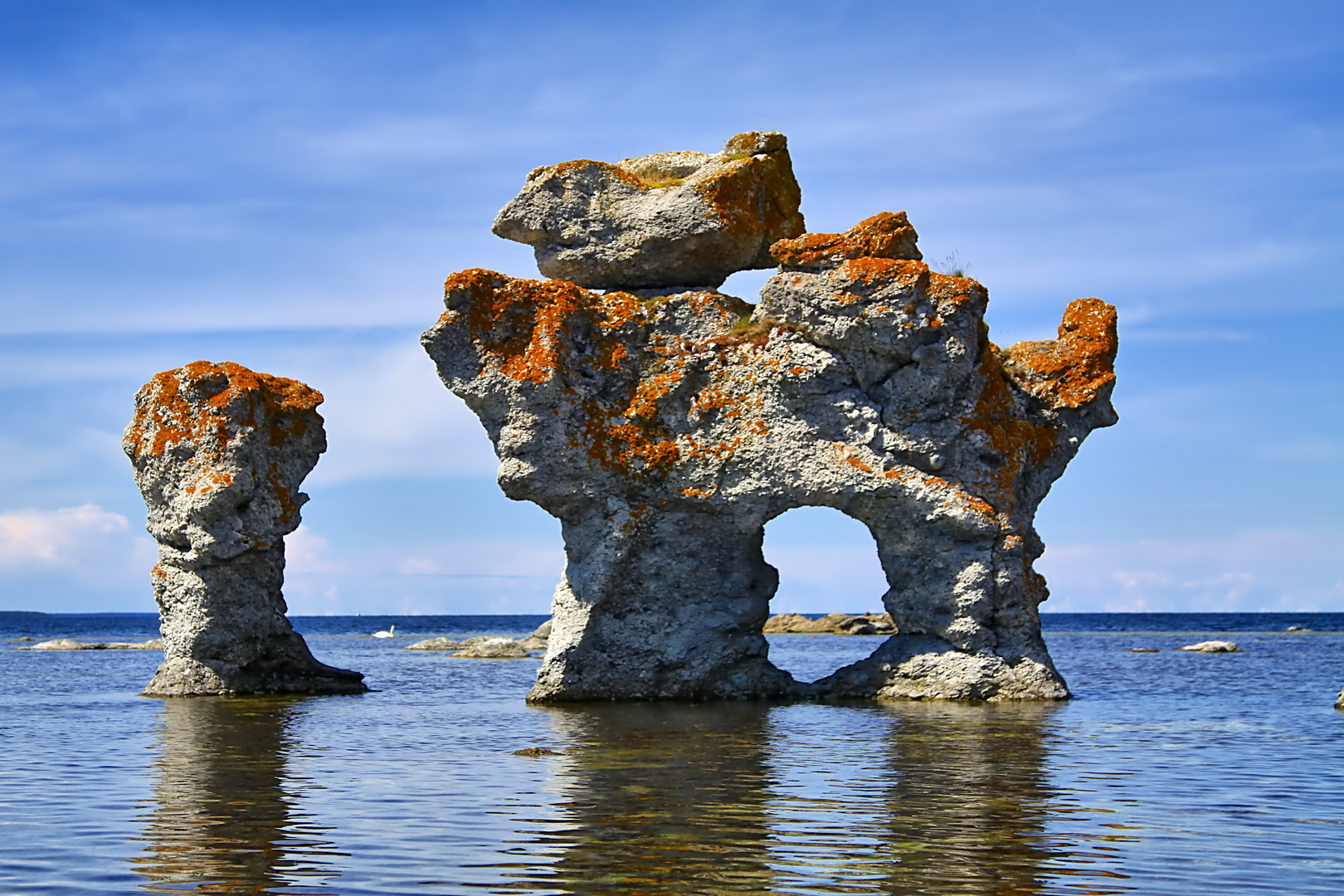 Rauk Hund in Gamle Hamn auf Fårö