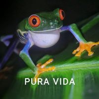Raul Del Toro Piña