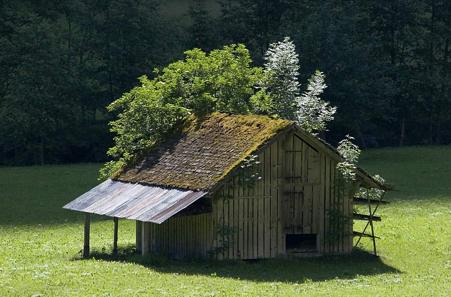 Raum ist auf der kleinsten Hütte