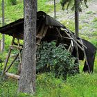 Raum ist in der kleinsten Hütte für ein glücklich liebend Paar