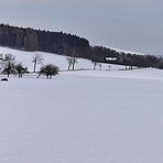 Raum mit Pfaffenstein