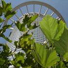 Raupe am Hochhaus oder Aussenfahrstuhl am Ast...