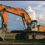 Raupenbagger Liebherr R974 C