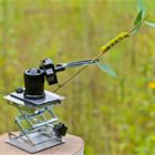 Raupenfotografie....Doku