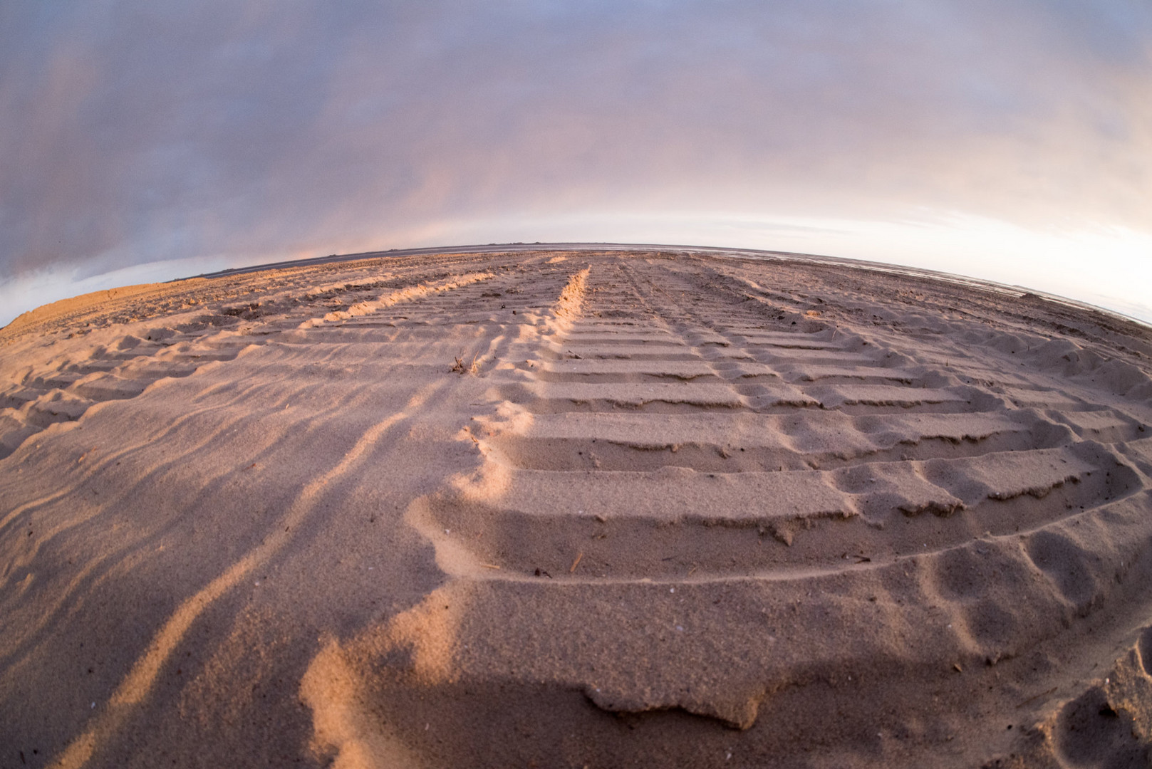 Raupenspuren im Sand