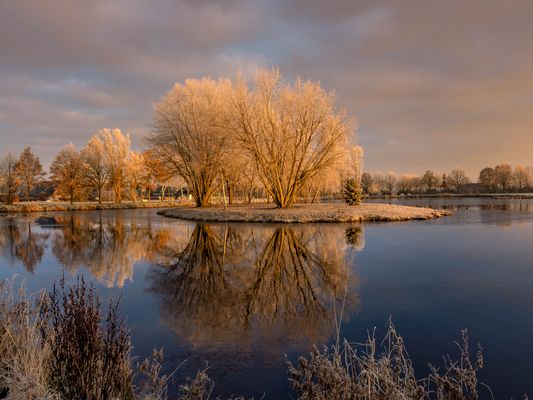 Raureif am 1.12.2023