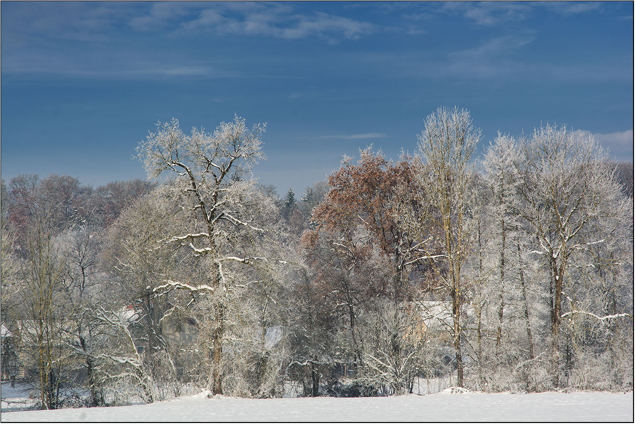 Raureif am Altbach