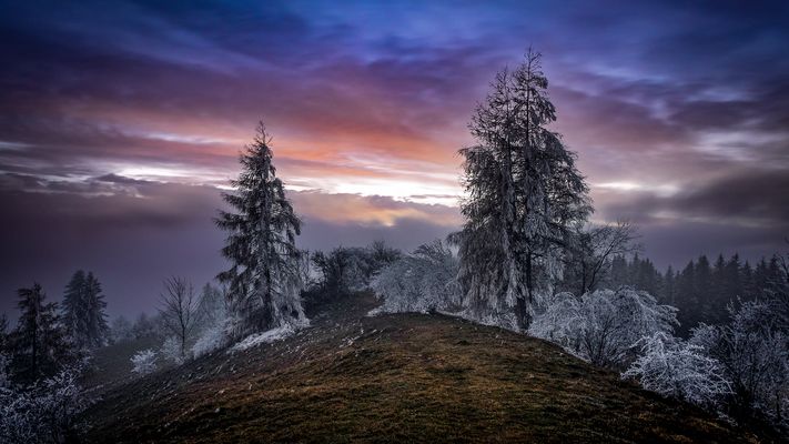 Raureif am Blender...