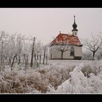 Raureif am Lindacher Kreuzpfad