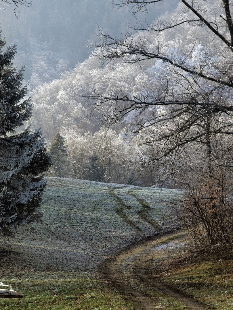 Raureif am Passwang, Jura 