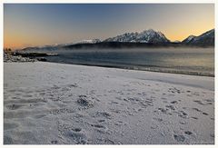 Raureif am Strand (2)