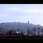 Raureif am Turmberg bei Karlsruhe...