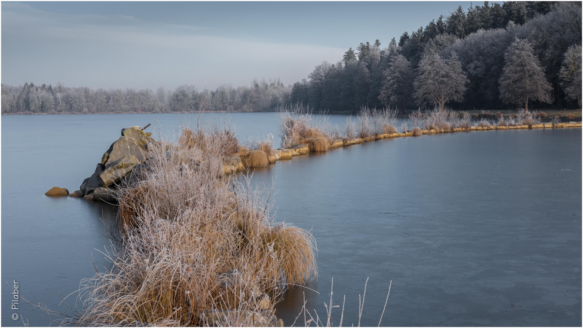 Raureif am Weiher