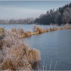 Raureif am Weiher