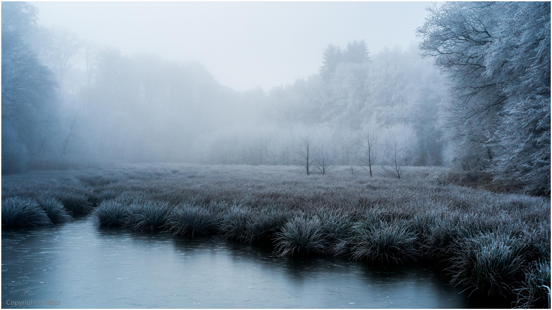 Raureif am Weiher III