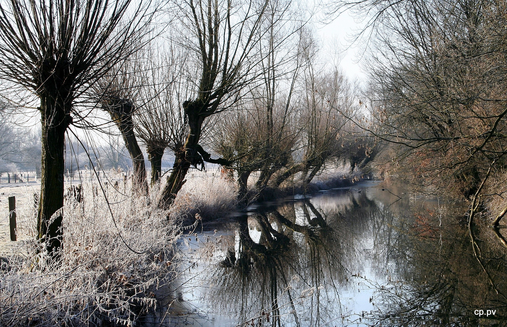 Raureif an der alten Leine