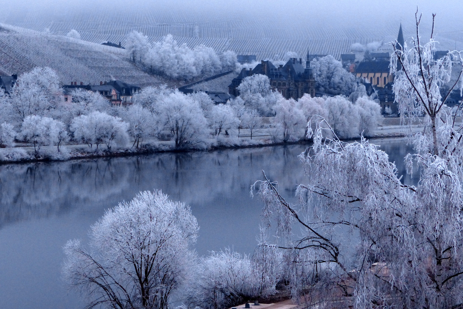 °°°° Raureif an der Mosel °°°°