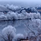 °°°° Raureif an der Mosel °°°°