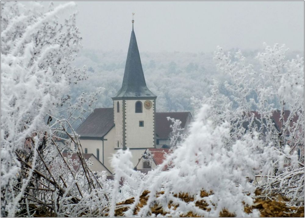 Raureif an Neujahr 2017 (7)