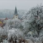 Raureif an Neujahr 2017 (8)