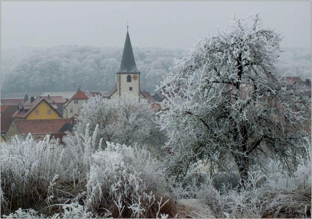 Raureif an Neujahr 2017 (8)