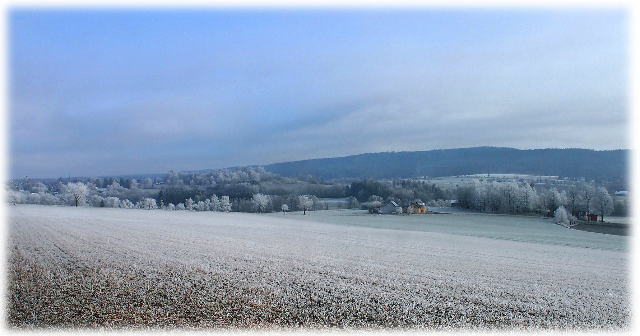 Raureif auf dem Grohenbühl