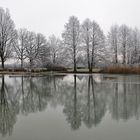 Raureif-Bäume am Weiher mit Spiegelung