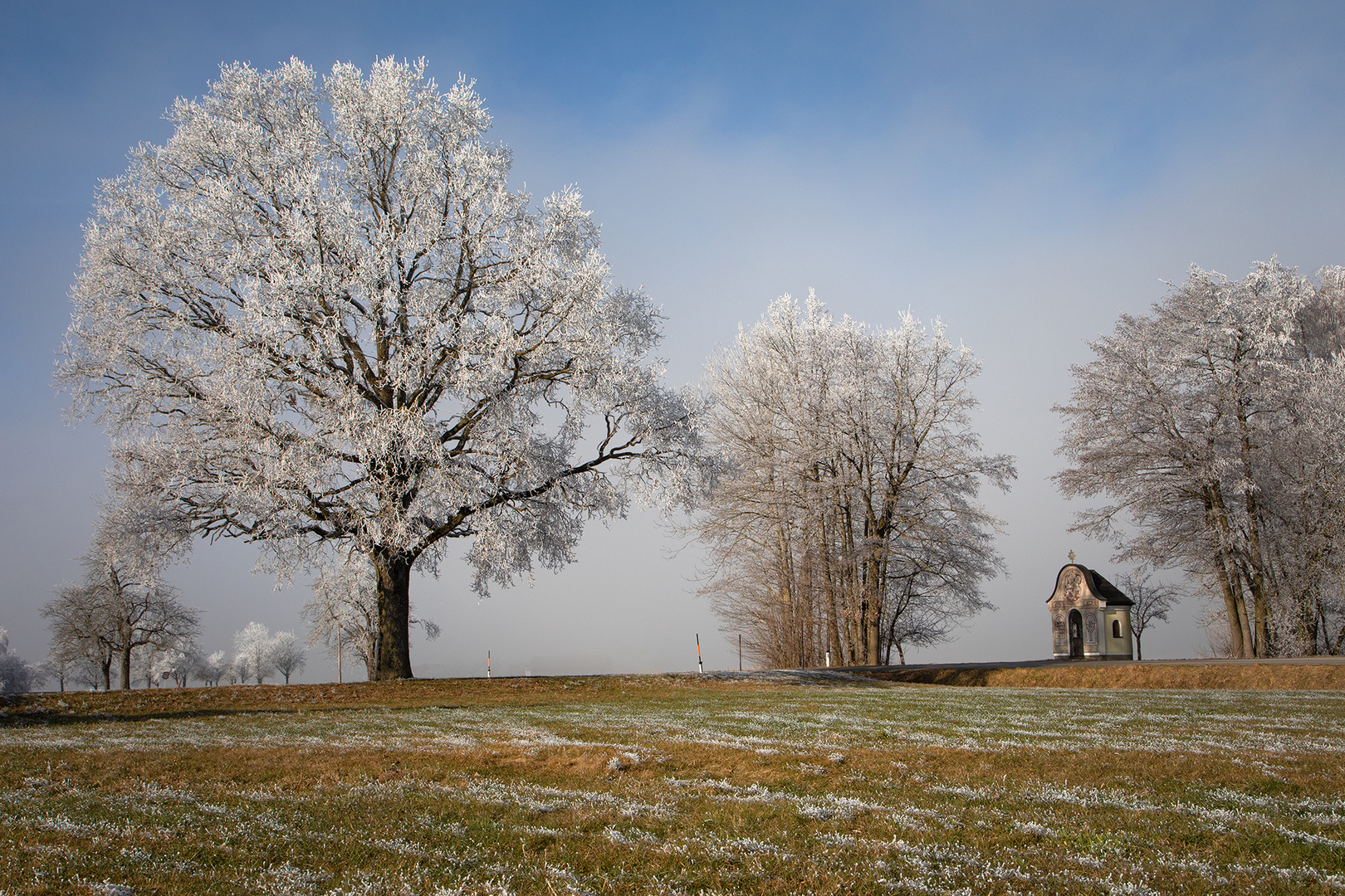 Raureif-Baum mit Kapelle