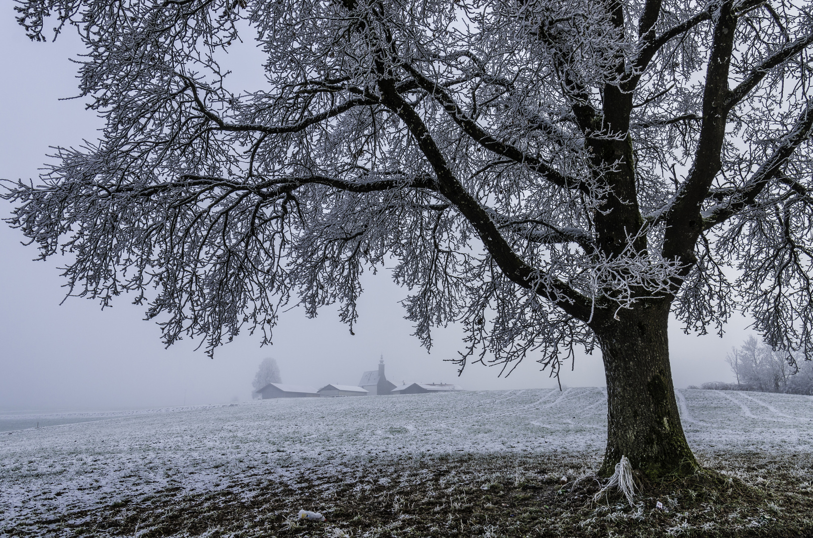 Raureif bei Kirchhalling