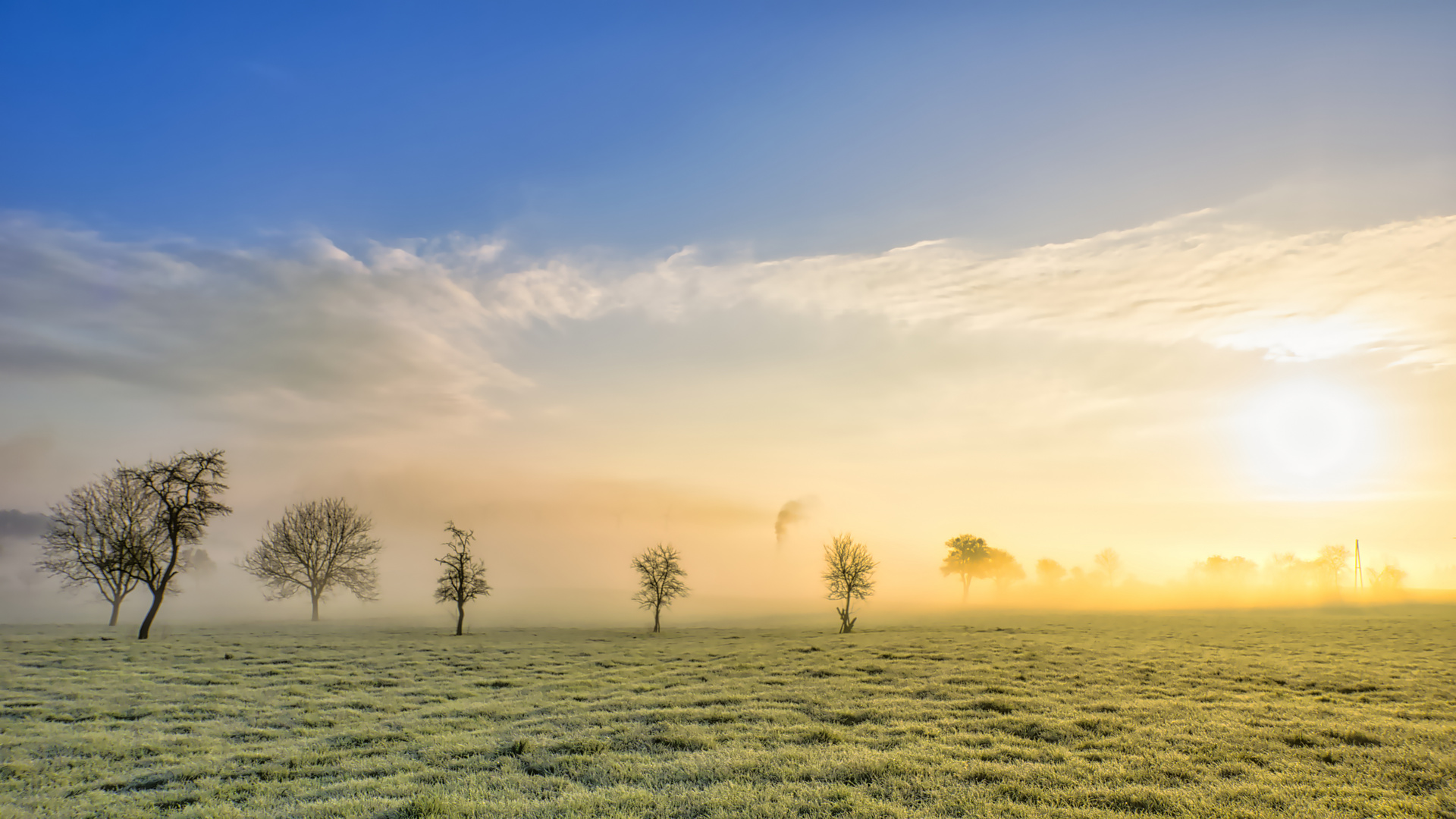 Raureif bei Sonnenaufgang