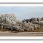 Raureif bei Sonnenschein